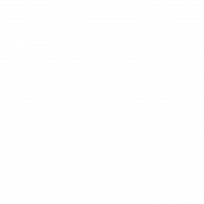 Figyua Pop Store Logo